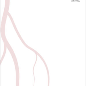 Receituário A4 Angiologia e Vascular Bruxelas