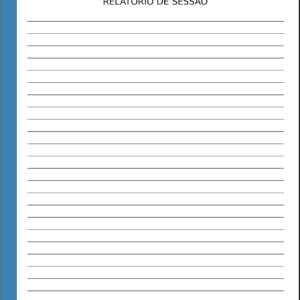 Relatório de Sessão Psicologia Bremen