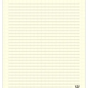 Relatório de Sessão Grande (A4) Psicologia Munique - Imagem 1